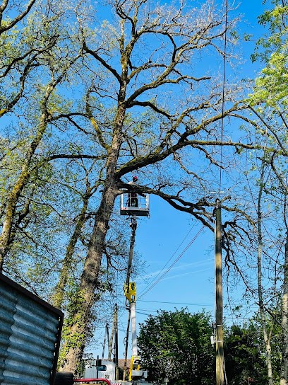 LD ESPACES VERTS, Paysagiste à Mensignac