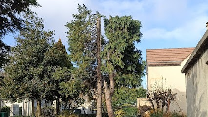BOUTHORS Vincent - Jardinier Paysagiste Val d'Oise 95, Paysagiste à Méry-sur-Oise