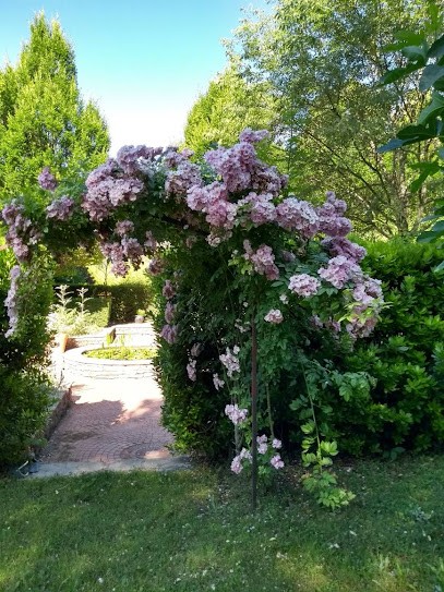 VERT PASSION, Paysagiste à Villecroze