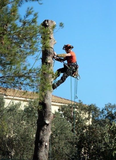 Paysagiste, Paysagiste à Laval