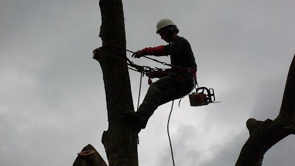 Jardiciel, Paysagiste à Vexin-sur-Epte