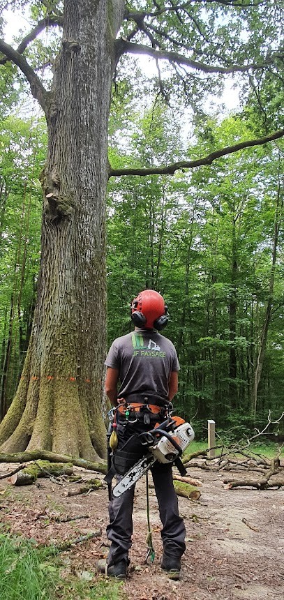 JF Paysage, Paysagiste à Burnhaupt-le-Bas