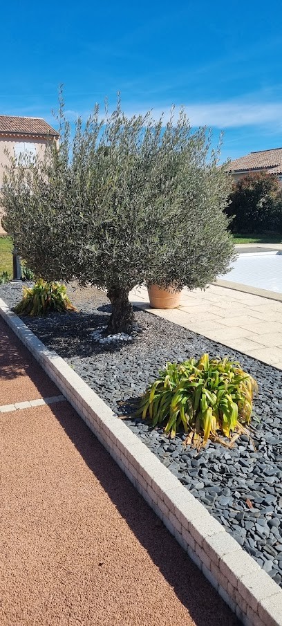 M.C espace vert entretien parc et jardin, Paysagiste à Peyrins