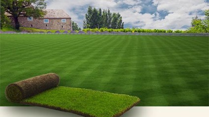 Metayer élagage abattage, Paysagiste à Saint-Marcel