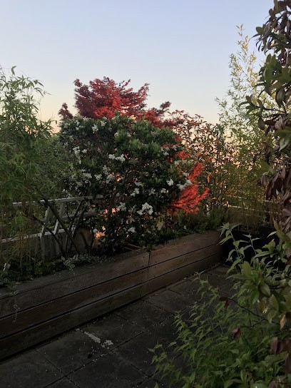Jardins Des Cimes, Paysagiste à Bry-sur-Marne