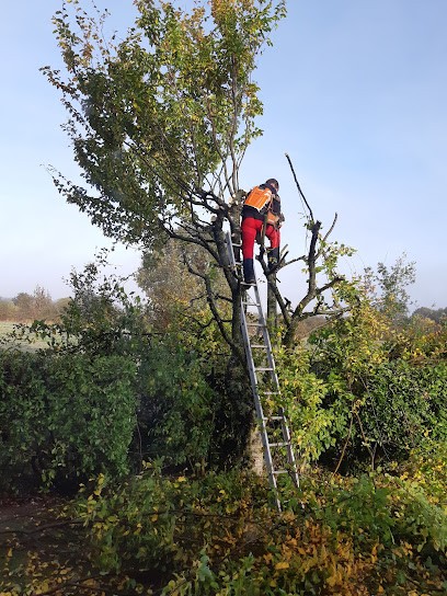Pierre HALOPÉ - Paysagiste, Paysagiste aux Ponts-de-Cé