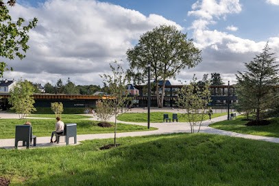 Bertrand Massé / Paysagiste Concepteur, Paysagiste à Rochefort