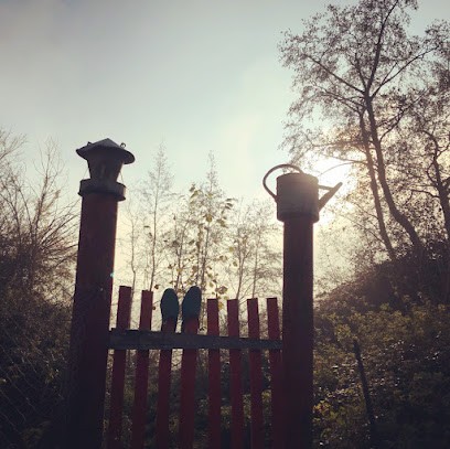 Atelier Benoît Paysage, Paysagiste à Saint-Marcel