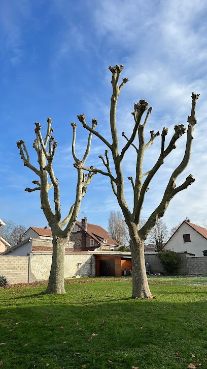LM Jar'Design, Paysagiste à La Vieux-Rue