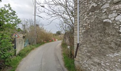 Projet Jardin, Paysagiste à Lattes