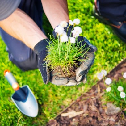 Paysagiste Vertdallet - Les Angles, Paysagiste aux Angles