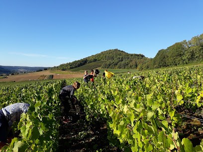 Millot Paysage, Paysagiste à Nuits-Saint-Georges