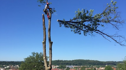 Jardins Arborés, Paysagiste à Raon-aux-Bois