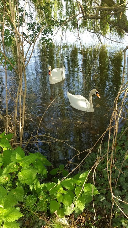 Longuet Kevin, Paysagiste à Saint-Pierre-la-Garenne
