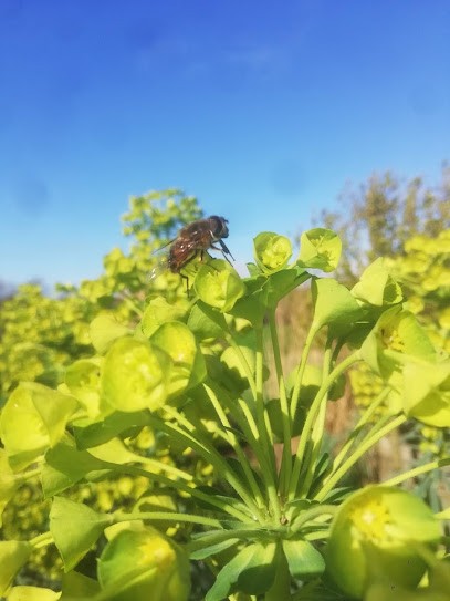 RéVes & Jardins, Paysagiste à Loix