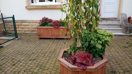 Nanty Mathieu, Paysagiste à Petit-Failly