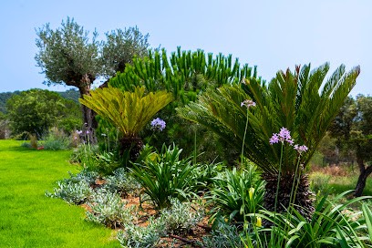 Horizon Vert Paysage, Paysagiste à La Londe-les-Maures