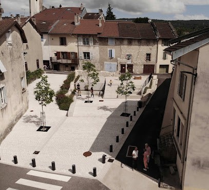 Le perchoir paysage, Paysagiste à Lyon 01