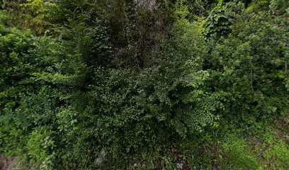 QL Paysage, Paysagiste à Saint-Cyprien