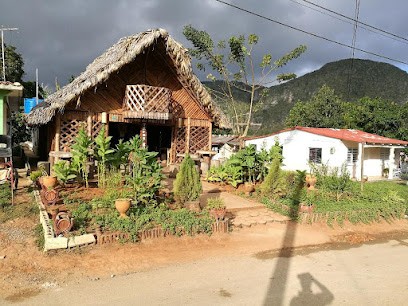 DURANTY PAYSAGES, Paysagiste à Laval