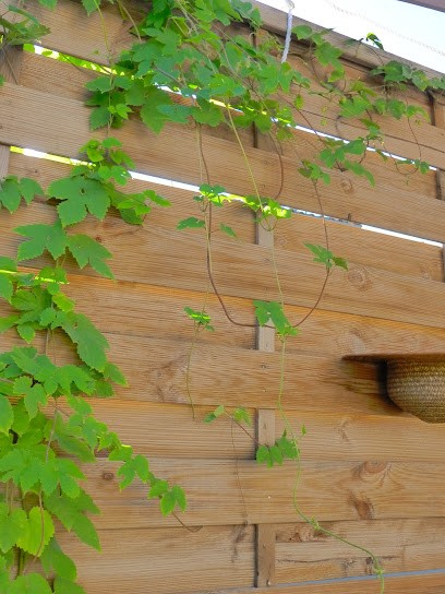 Jardin Eau Bois, Paysagiste à Lussac