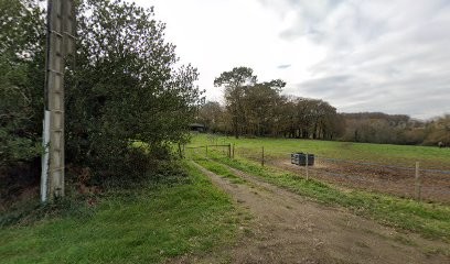 Eurl Ouest Bordure, Paysagiste à Languidic