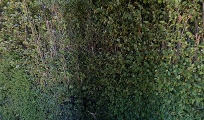 Laigneau Franck Daniel, Paysagiste à Valsemé