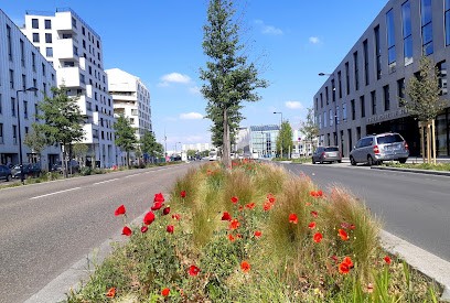 Espace Paysage d'Aquitaine, Création & entretien d'espaces verts, Paysagiste à Eysines