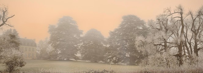 Neury Philippe, Paysagiste à Cindré