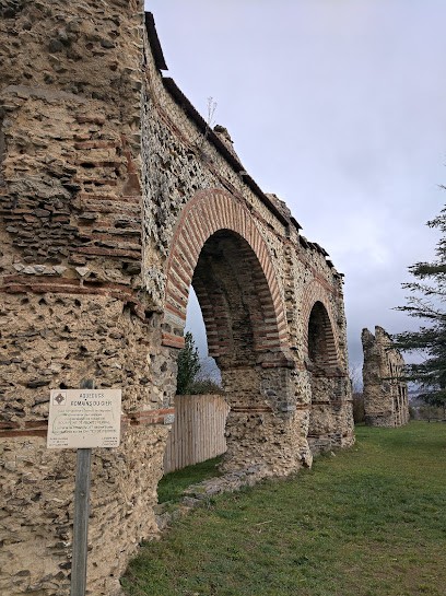 Carré Vert Paysage, Paysagiste à Chaponost