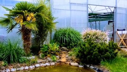 Arbres et Jardins de Souday, Paysagiste à Couëtron-au-Perche