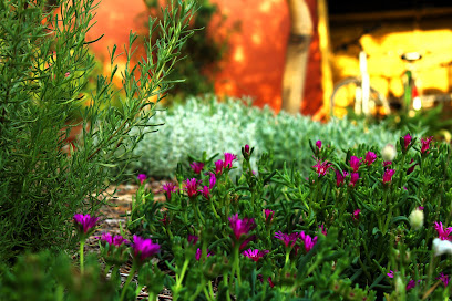 Les Jardins & Co, Paysagiste à Toulouse