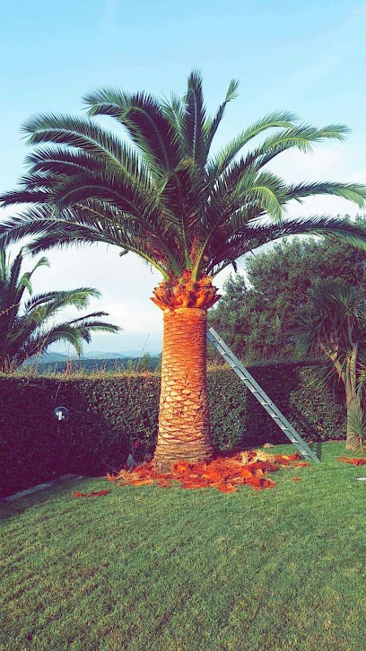 Bechelli Paysages, Paysagiste à La Motte