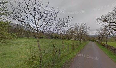 Entreprise entretien paysager Yannick Bessiere, Paysagiste à Salles-la-Source