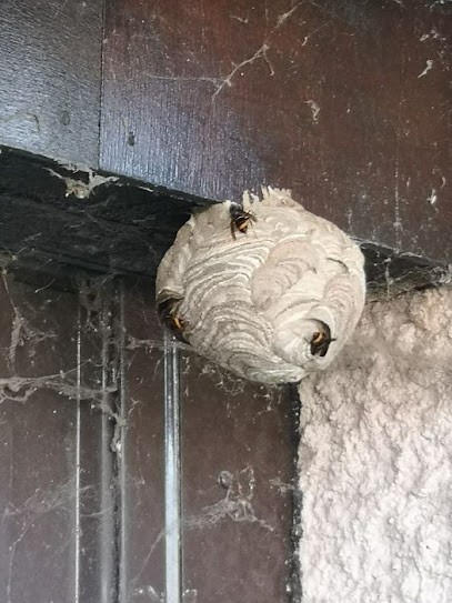 EDIVERT, Paysagiste à Ormes