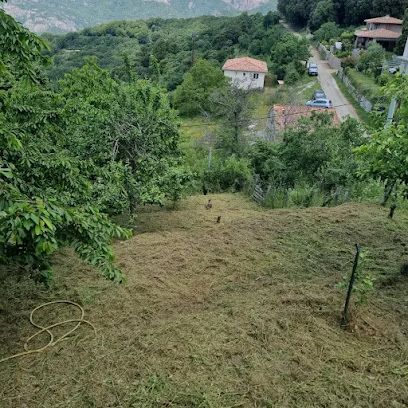 Carlotti Entretien Paysagiste à Lucciana