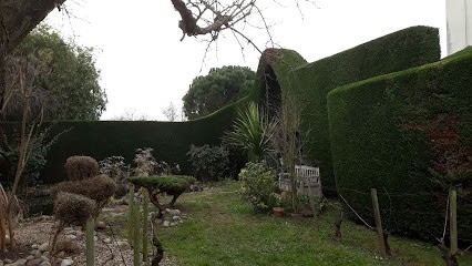 Aloé Jardin, Paysagiste à Crêches-sur-Saône