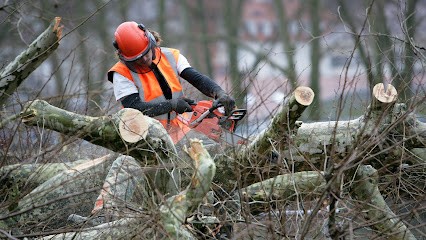 ARBO'PROTECT, Paysagiste à Saint-Alban