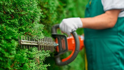 Jardinier Alès - Thierry Nature - Elagage Pelouse Taille Debroussaillage, Paysagiste à Méjannes-lès-Alès
