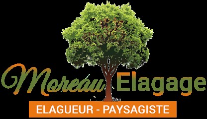 Moreau Elagage 77 : Paysagiste Seine et Marne, Paysagiste à Yerres