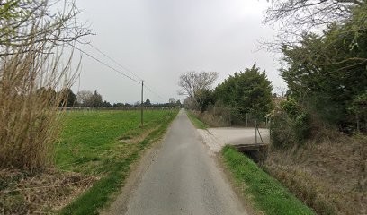 Saint Fiacre, Paysagiste à Mollégès