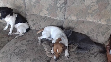 Bois Entretien Service, Paysagiste à Neuvy-en-Sullias