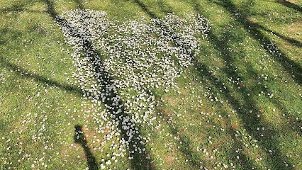 J.S.G. Aménagements Extérieurs, Paysagiste à Saint-Nazaire-d'Aude