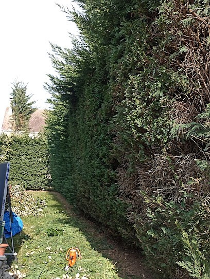 Artisan jardinier, Paysagiste à Lisses