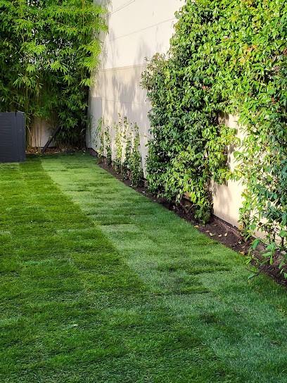 The Modern Garden, Paysagiste à Rueil-Malmaison