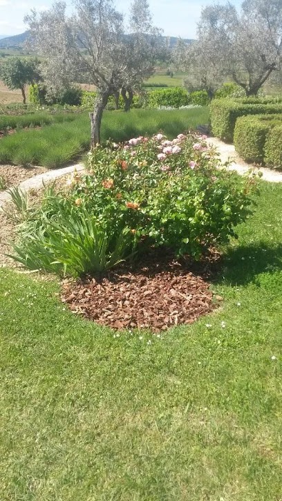 Champetier Espace Verts, Paysagiste à Saint-Sauveur-de-Cruzières