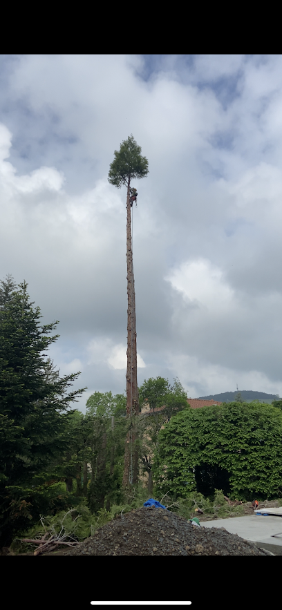 Bonnet Elagage, Paysagiste à Beauzac