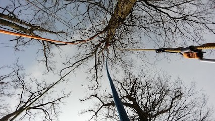 Flore Et Sens, Paysagiste à Saint-Germain-Chassenay