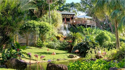 ELO É L'A, Paysagiste à La Londe-les-Maures