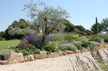 Salvador Paysage, Paysagiste à Vico